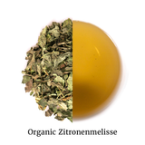 Kräutertee Entdecker Paket - Friends of Tea