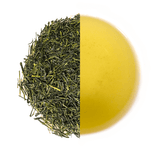 Grüner Tee - Asamushi Premium Sencha - Friends of Tea