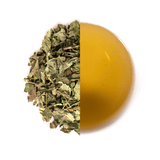 Kräutertee - Zitronenmelisse - Friends of Tea